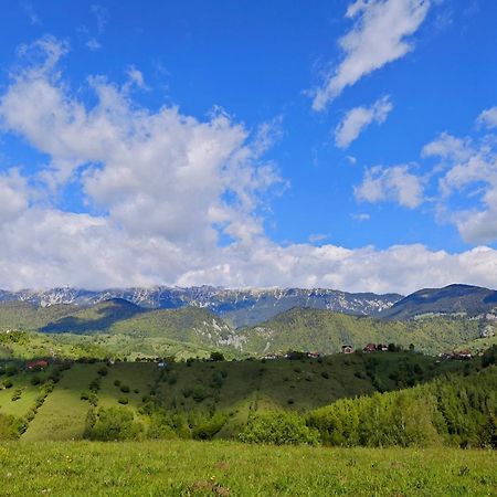 Alpine Escape Studios เมากูรา ภายนอก รูปภาพ