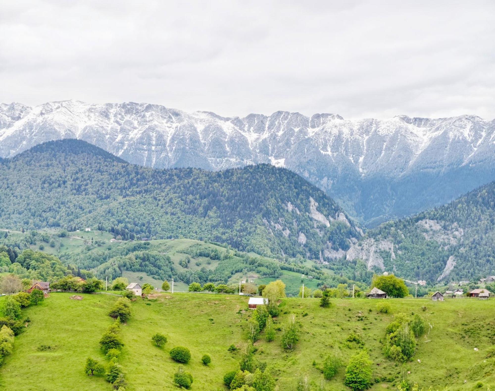 Alpine Escape Studios เมากูรา ภายนอก รูปภาพ