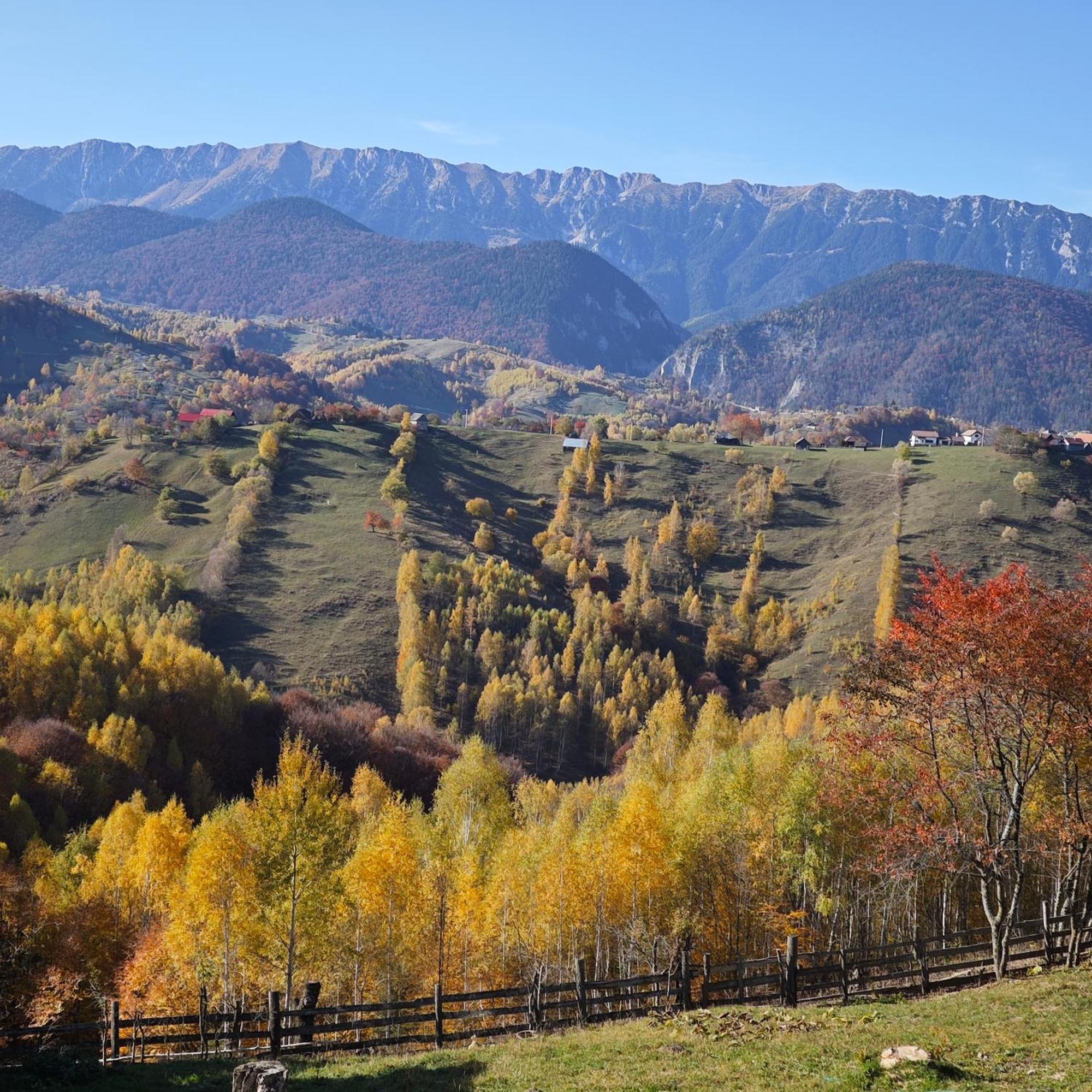 Alpine Escape Studios เมากูรา ภายนอก รูปภาพ