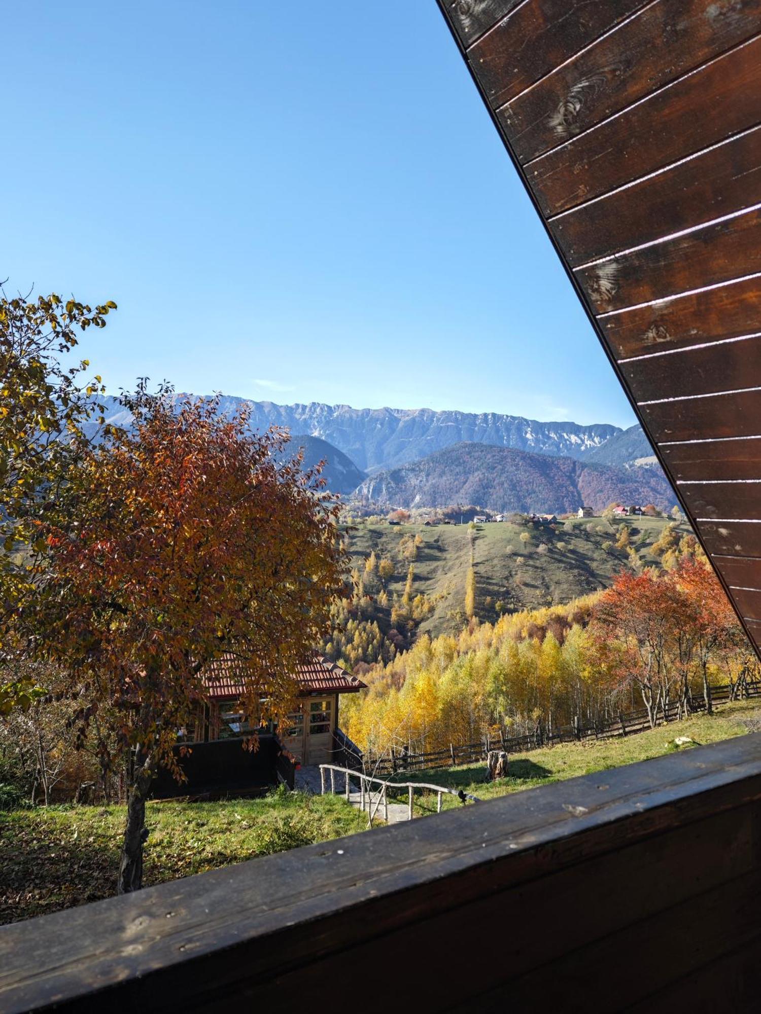 Alpine Escape Studios เมากูรา ภายนอก รูปภาพ