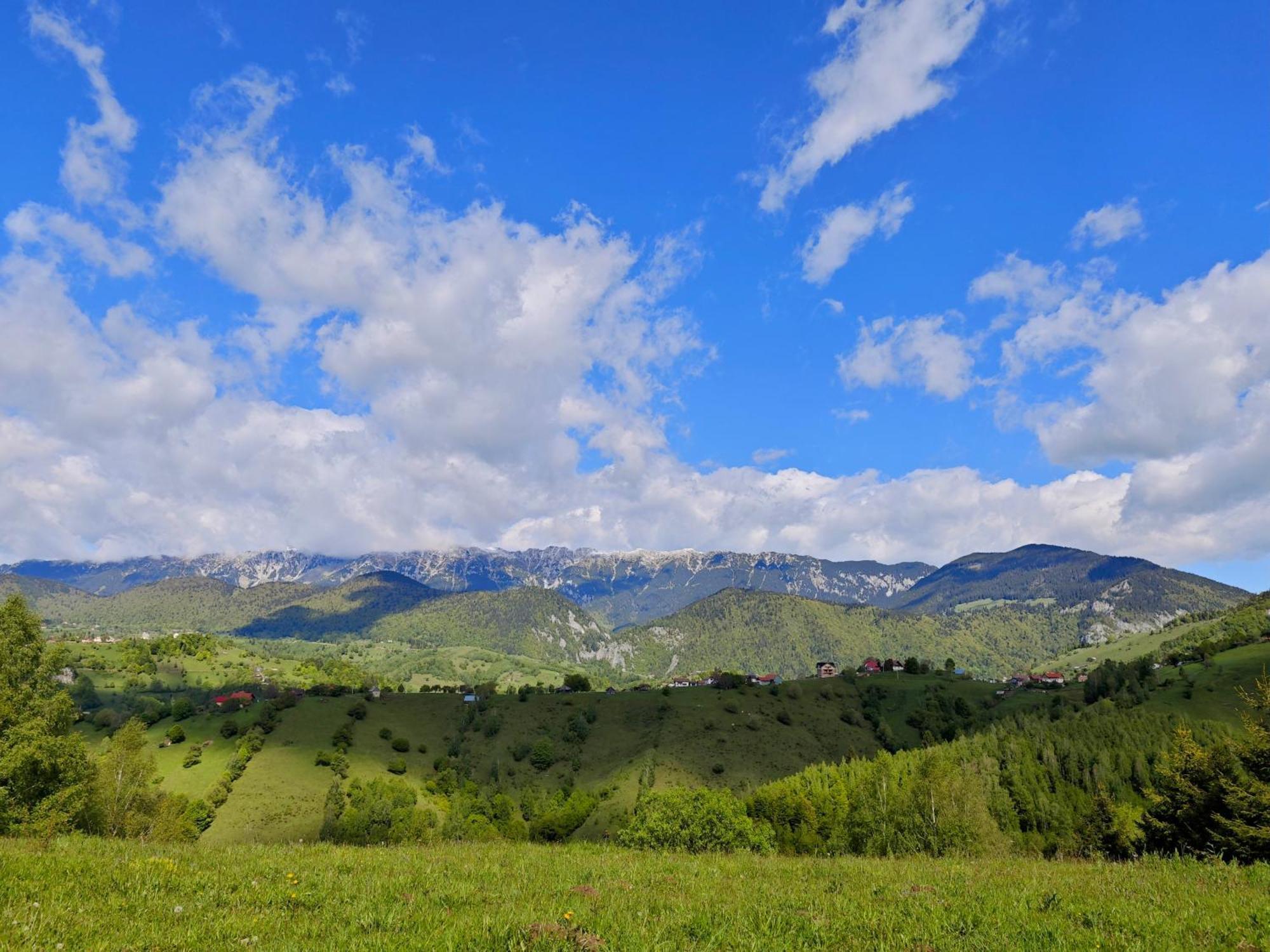 Alpine Escape Studios เมากูรา ภายนอก รูปภาพ